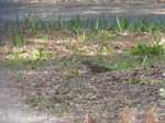P1010120.JPG