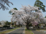 P1010127.JPG