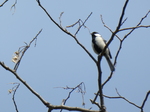 P1010134.JPG