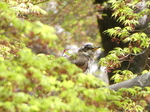 P1010136.JPG