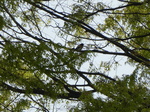 P1010138.JPG